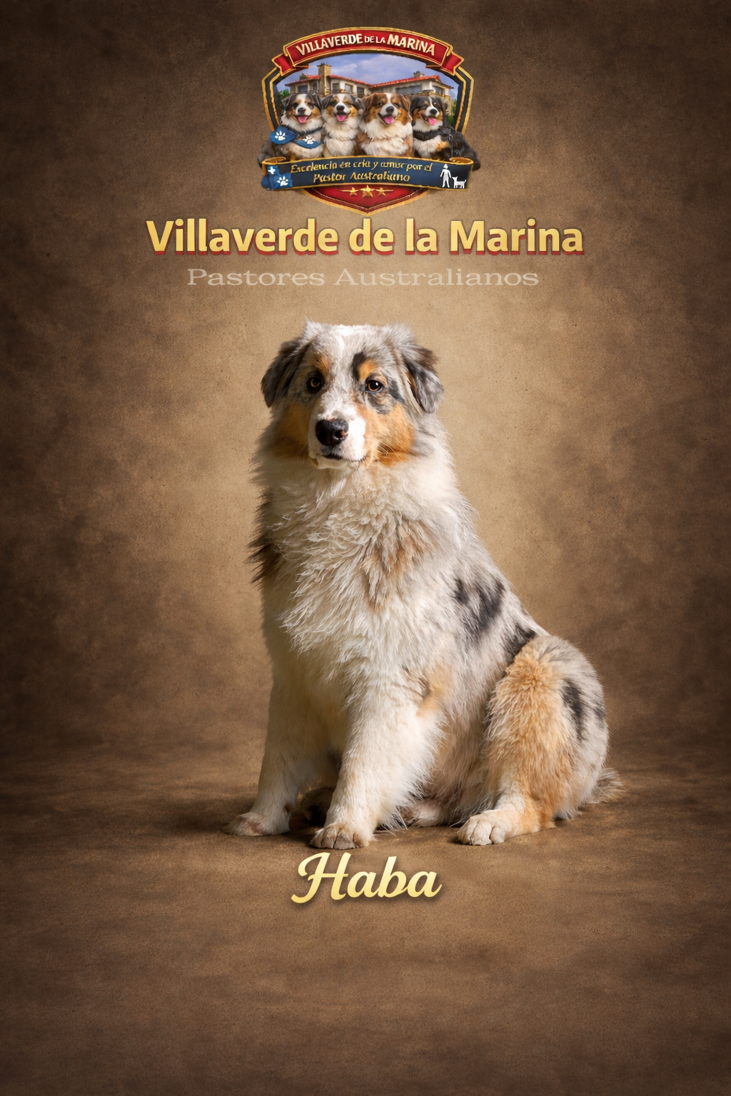 Haba