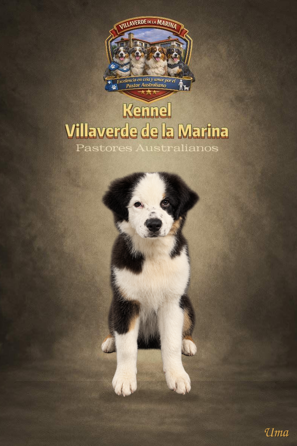 Uma