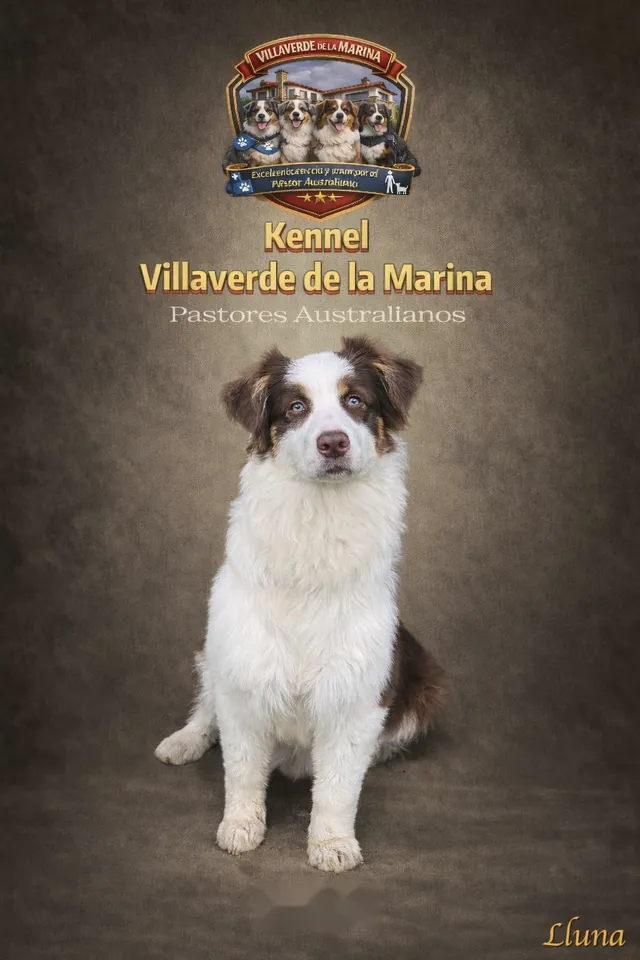 Lluna