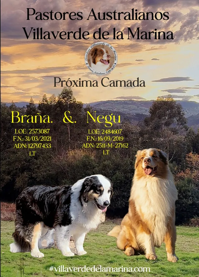 Brana y negu