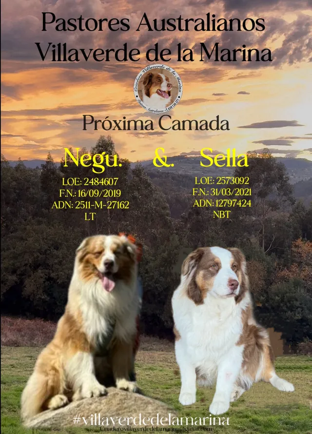 Negu y Sella