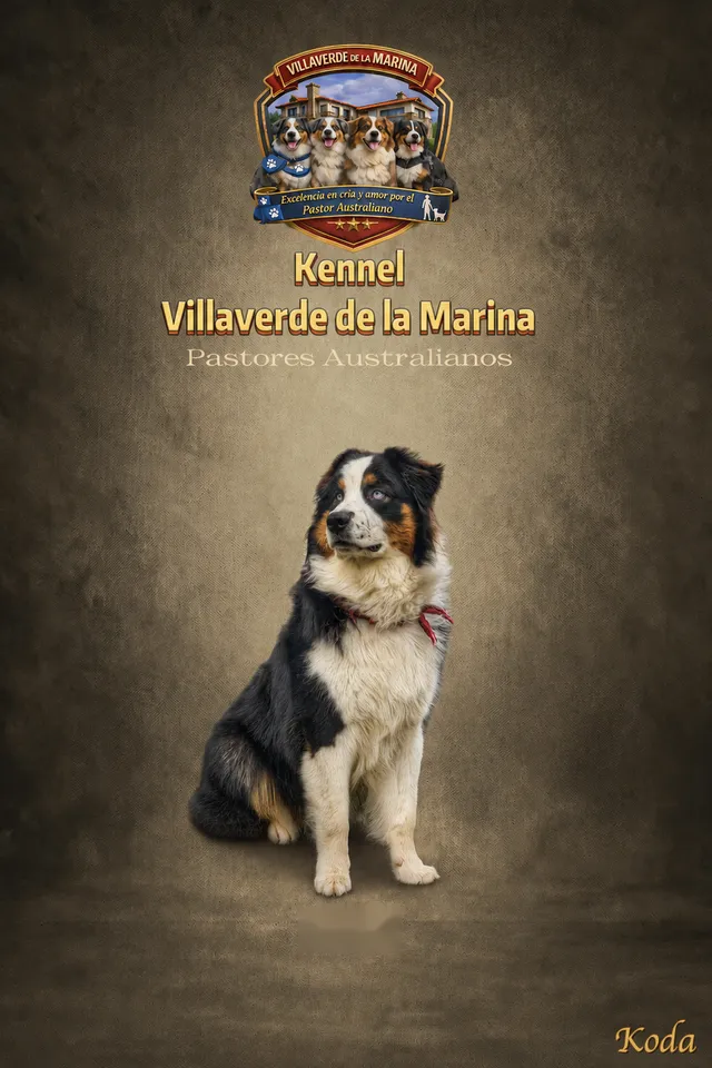 Koda villaverde de la marina