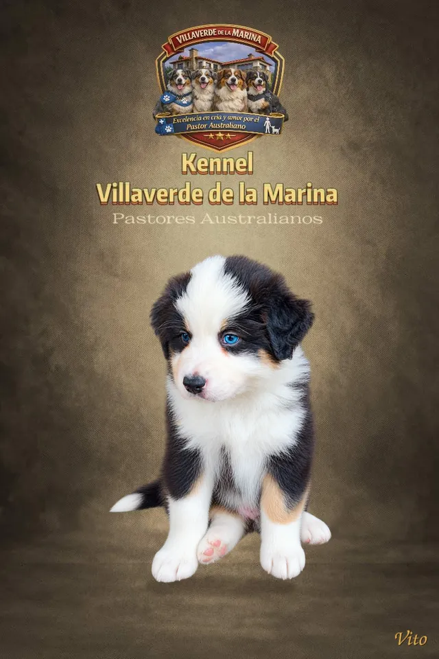 Vito